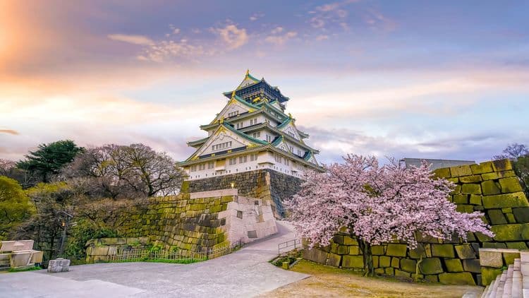 Faits saillants d'Osaka