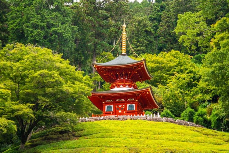 Temple Katsuo-ji et Kuromon : réflexions bouddhistes et marché local