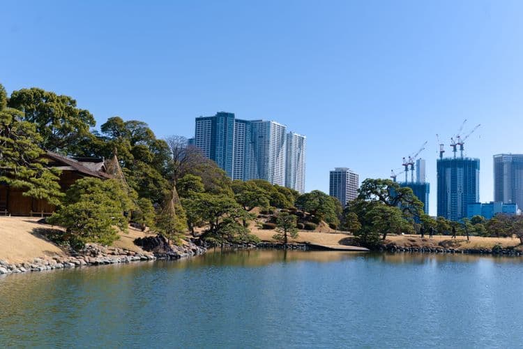 Jardins de Tokyo et monuments légendaires (visite et transfert de l'aéroport de Haneda)