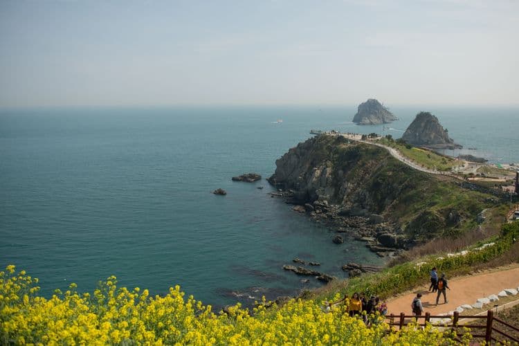 Experiencia de senderismo en Busan