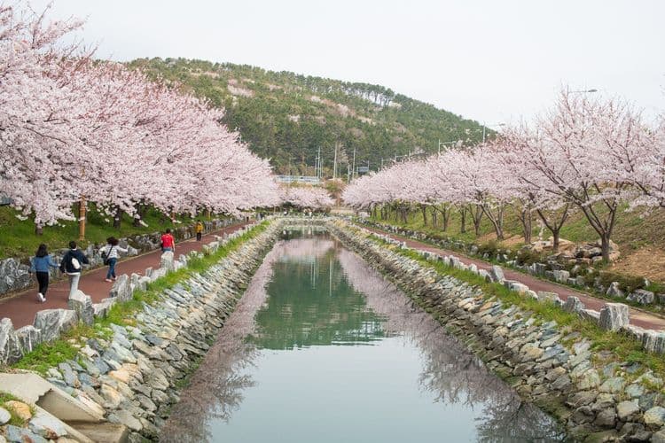 Busan: Reflexiones de la historia y la vida local