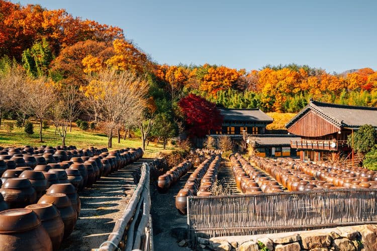 Templo Tongdosa de la UNESCO y Experiencia Cultural Ulsan