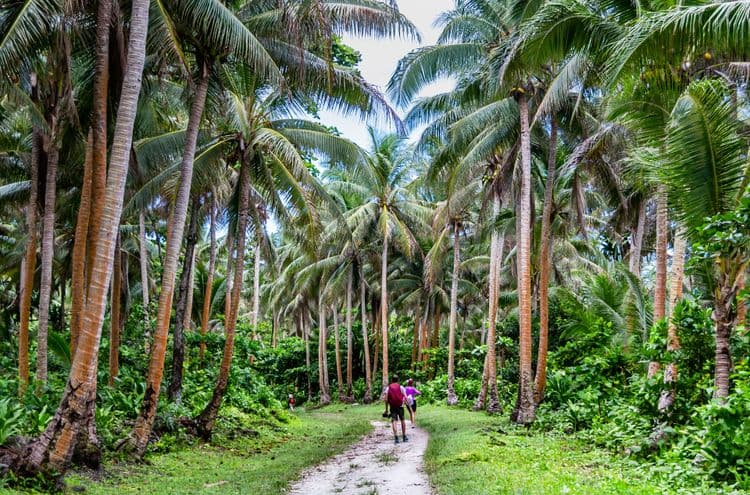 Hiking with Silversea Expedition team