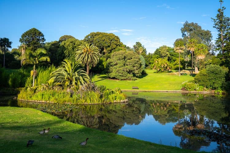 Paseo por el Real Jardín Botánico y Patrimonio Aborígenes