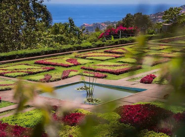 Télécabine et jardin botanique de Madère