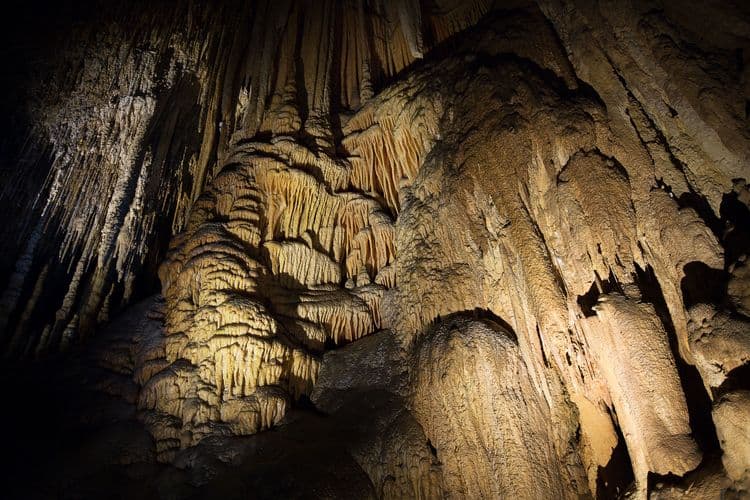 Gunns Plains Cuevas y Vida Silvestre