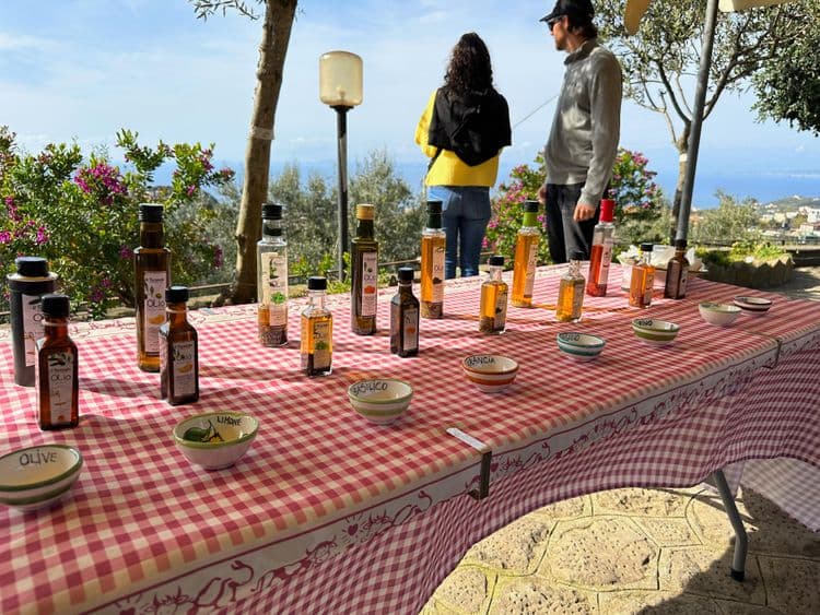 Degustación de Massa Marittima y Productos Locales
