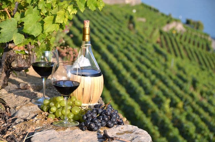 S.A.L.T. Fire & Grapes : un festin barbecue italien avec des vins sur les collines toscanes