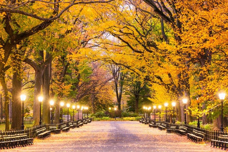 Central Park y el Met