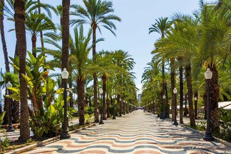 Best of Alicante