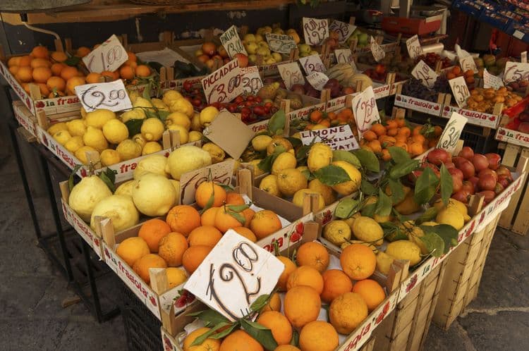 Family Estate & Tasting in Sorrento