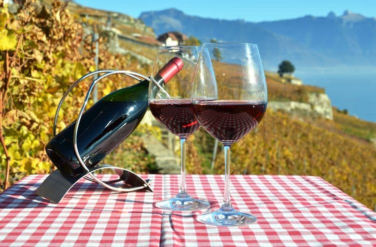 Salerno Vineyard Wine Tasting