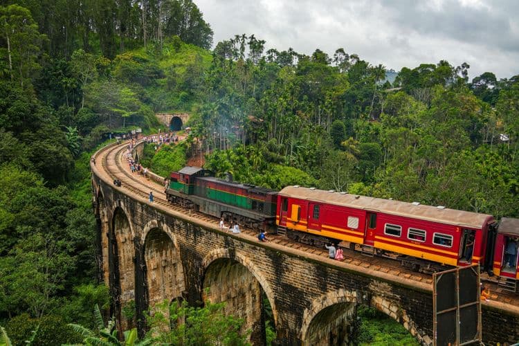 Experimente la selva tropical: aventura en tranvía aéreo