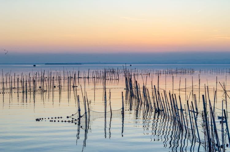 Sur le lac Albufera