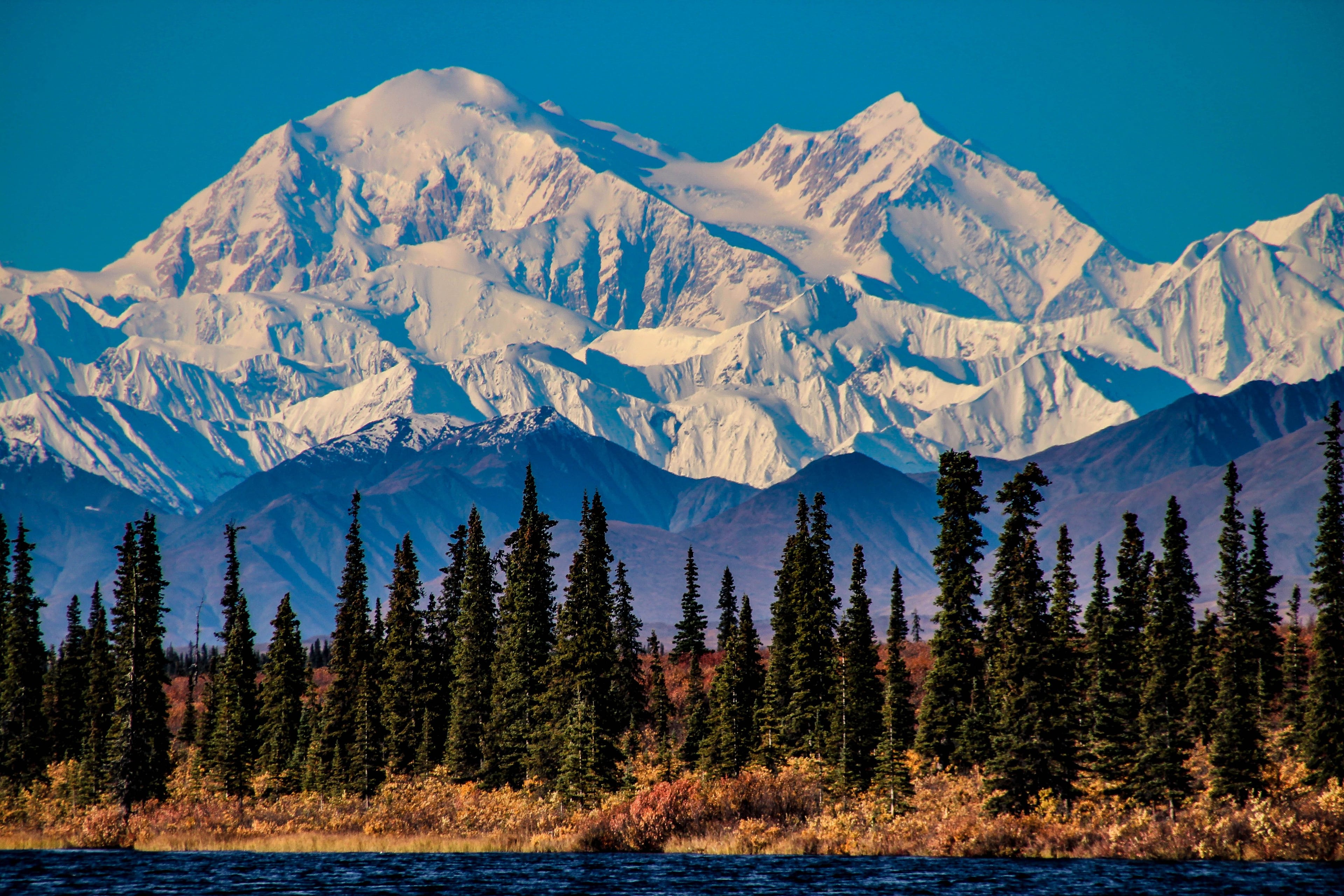 Book cruises to Alaska in 2025 online and save