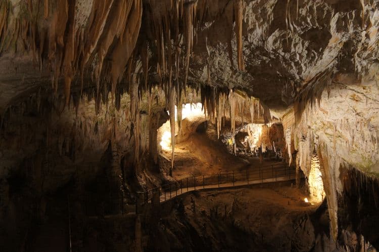 Spectacular Postojna Cave