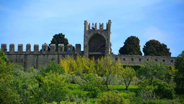 Unexpected Slovenia: Karst Castle, Champagne Reception & Michelin Lunch