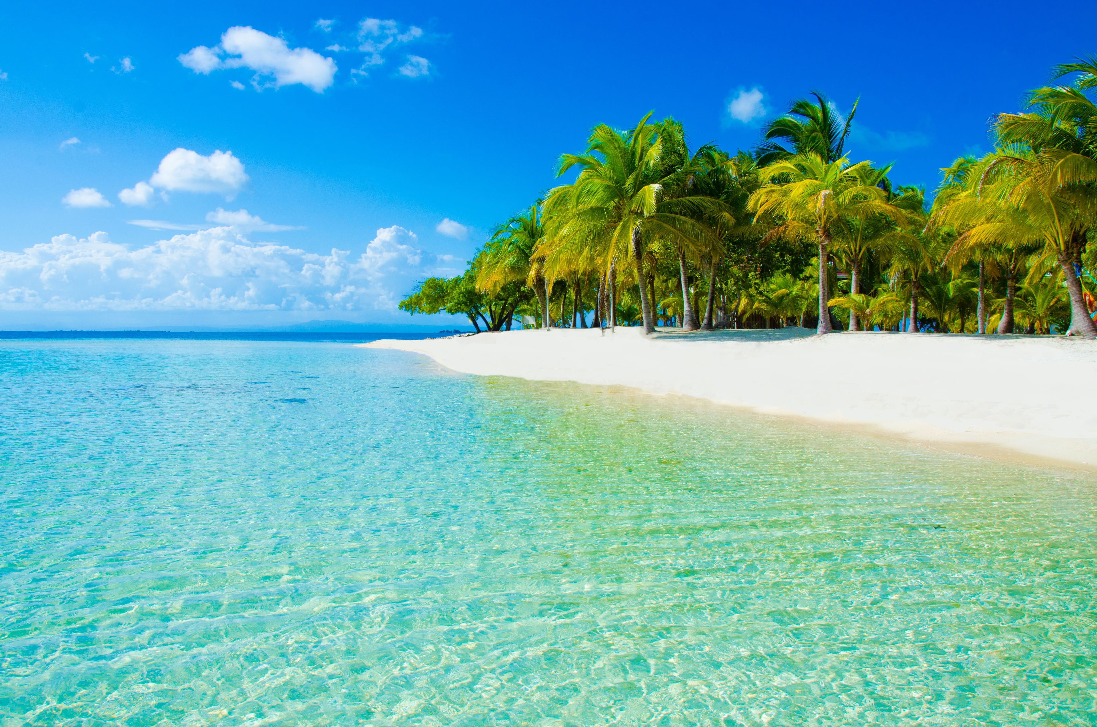 Book cruises to the Caribbean with MSC Cruises Online and Save