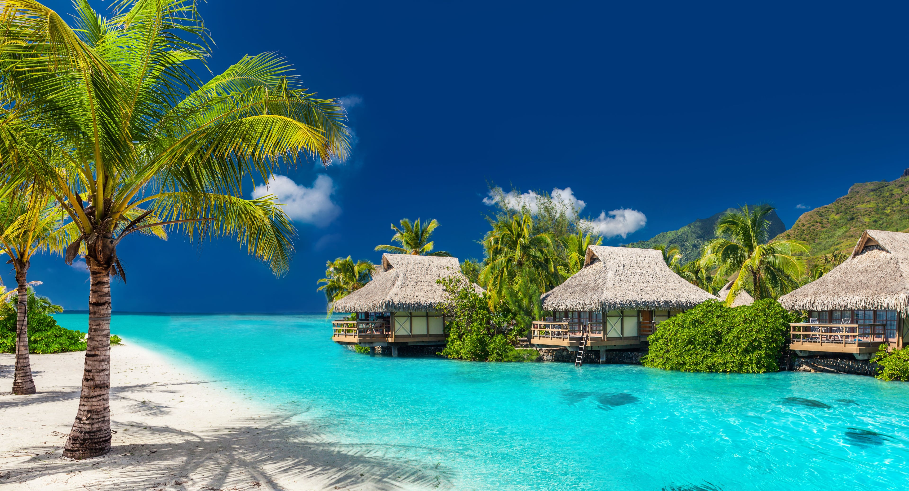 Book cruises to Fiji Online And Save