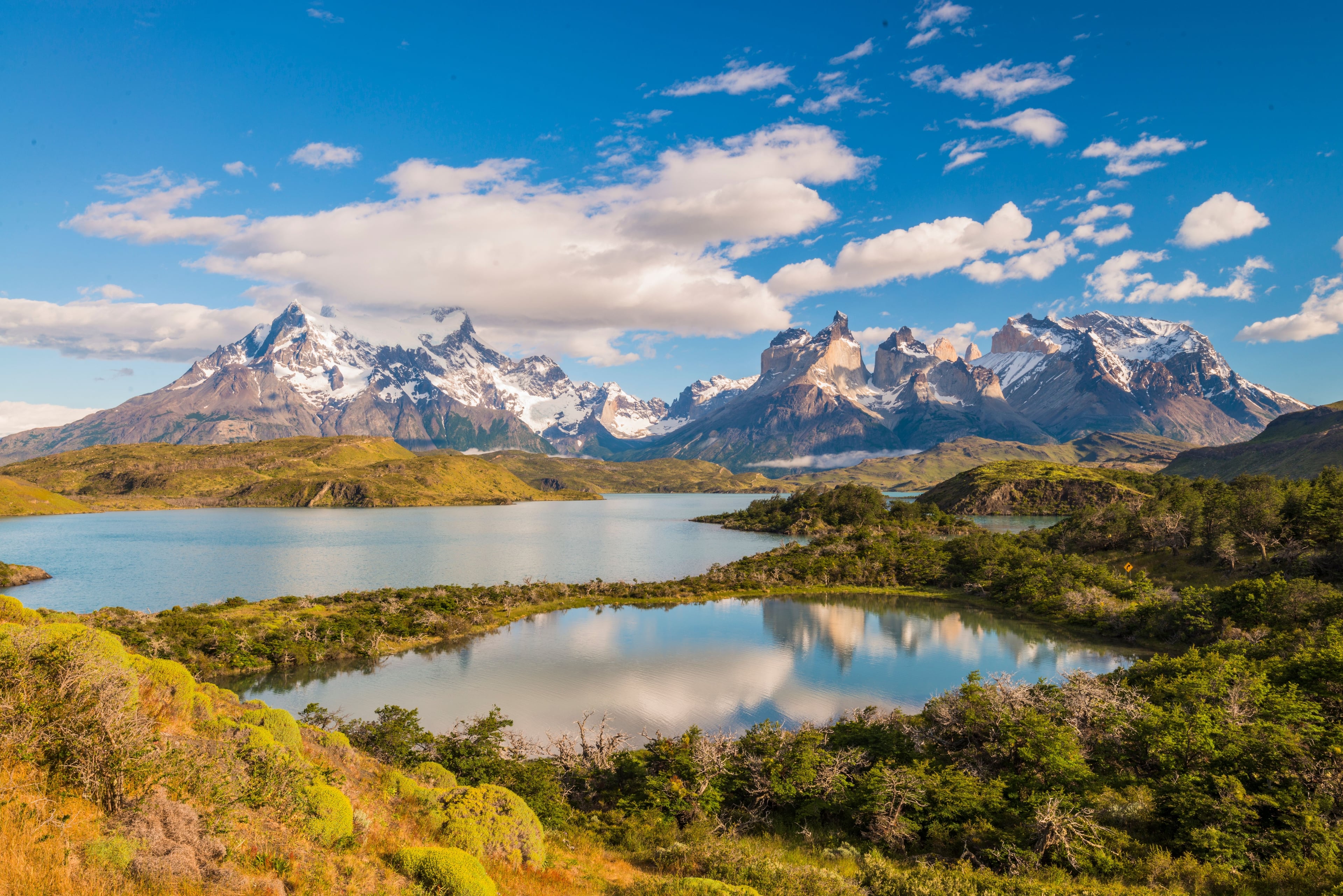 Book cruises to South America Online And Save