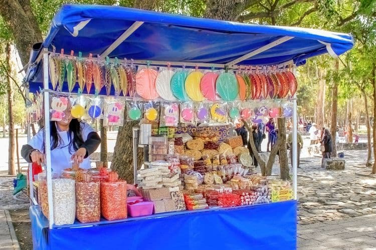 Esprits rares et traditions intemporelles : une journée à La Dulce Vista