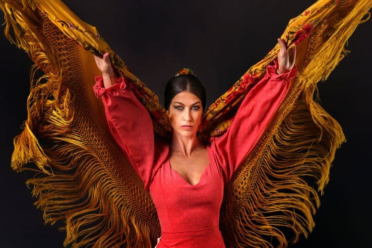 Expérience historique de Malaga et de Flamenco Fusion