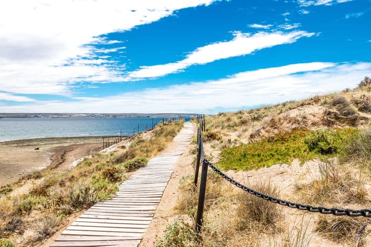 Recorrido a pie por Puerto Madryn