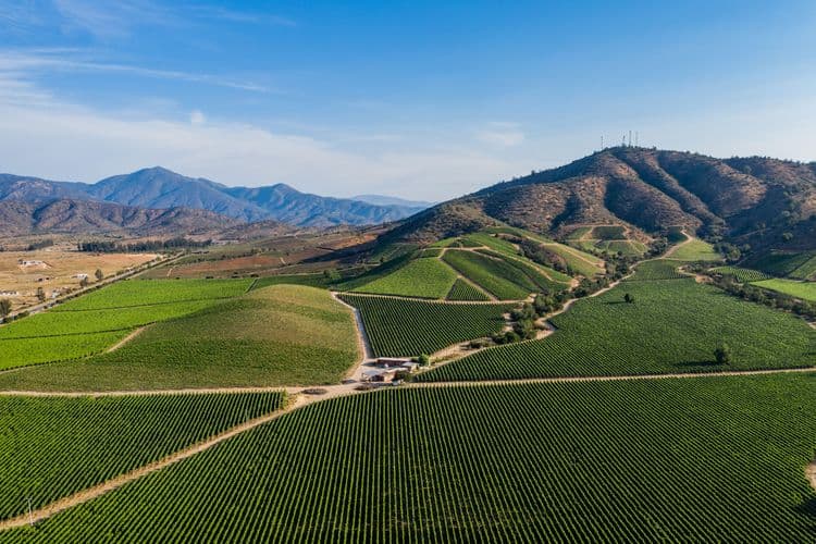 Los vinos del Valle de Casablanca